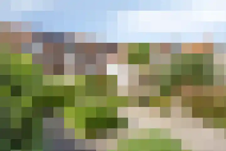 Burgemeester Rensstraat 41 Goirle thumbnail 24
