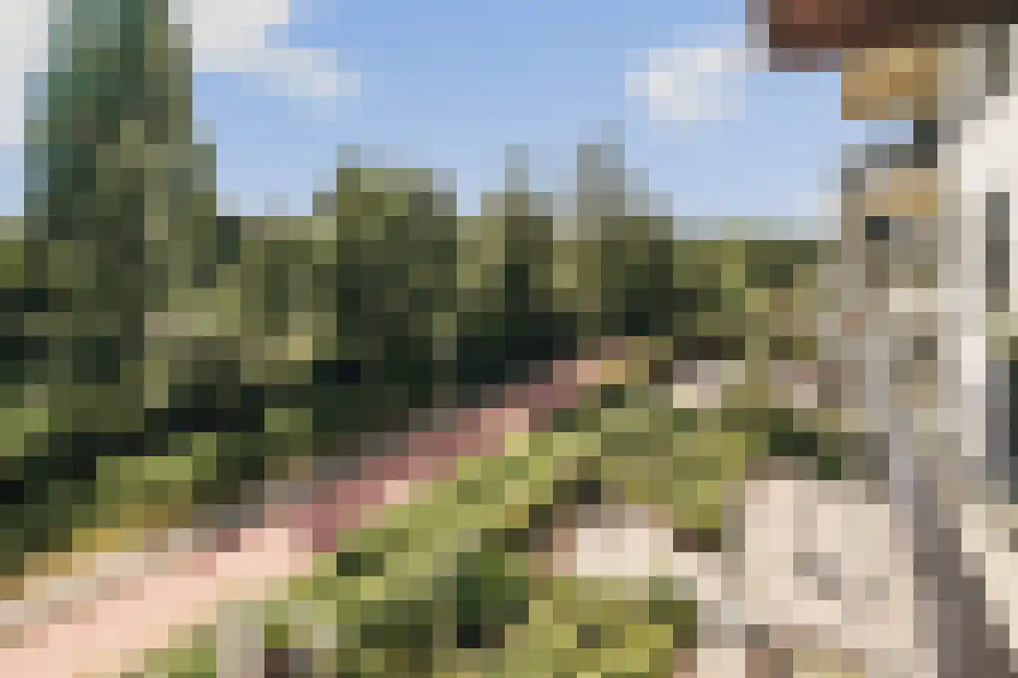 Burgemeester Rijnderslaan 222 Amstelveen thumbnail 8