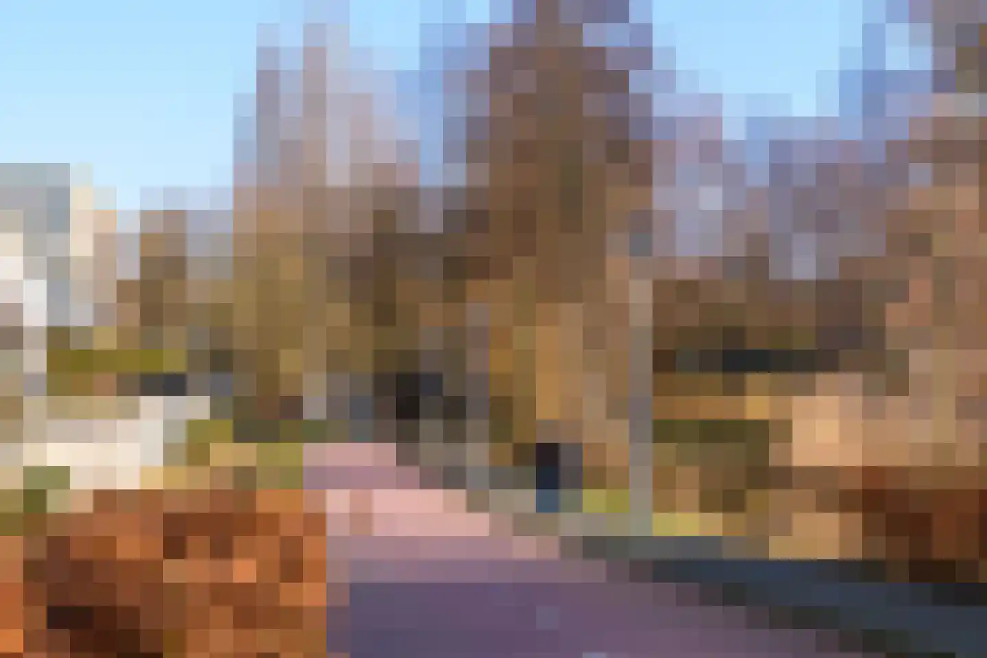 Burgemeester Rijnderslaan 352 Amstelveen thumbnail 51
