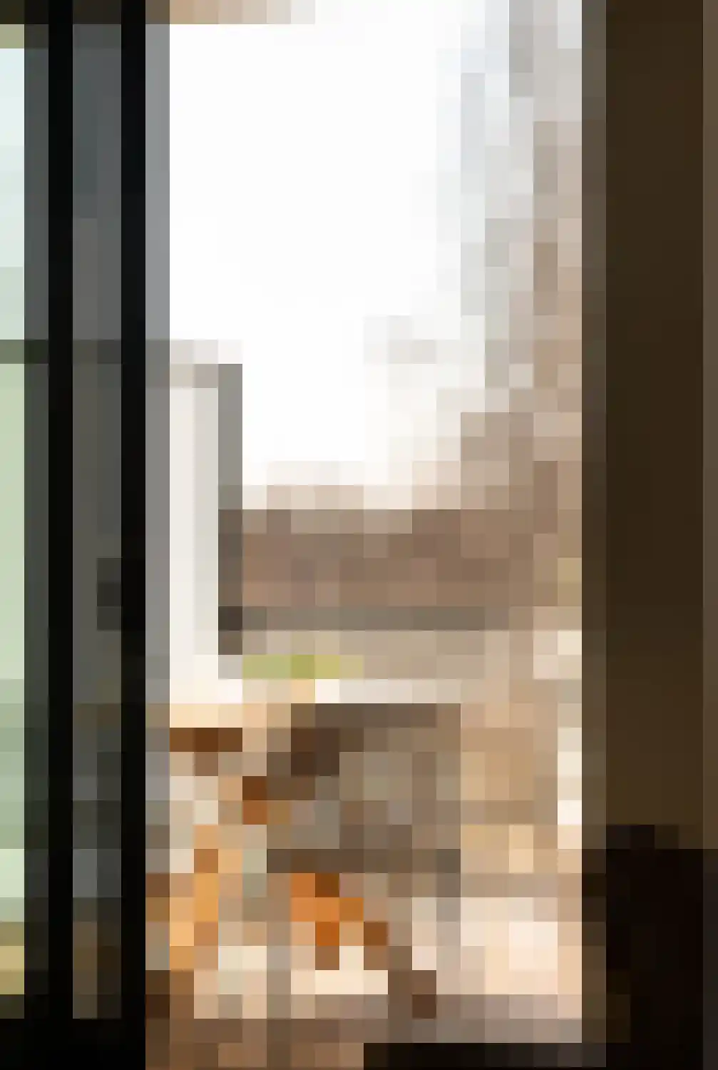 Burgemeester Rijnderslaan 352 Amstelveen thumbnail 8