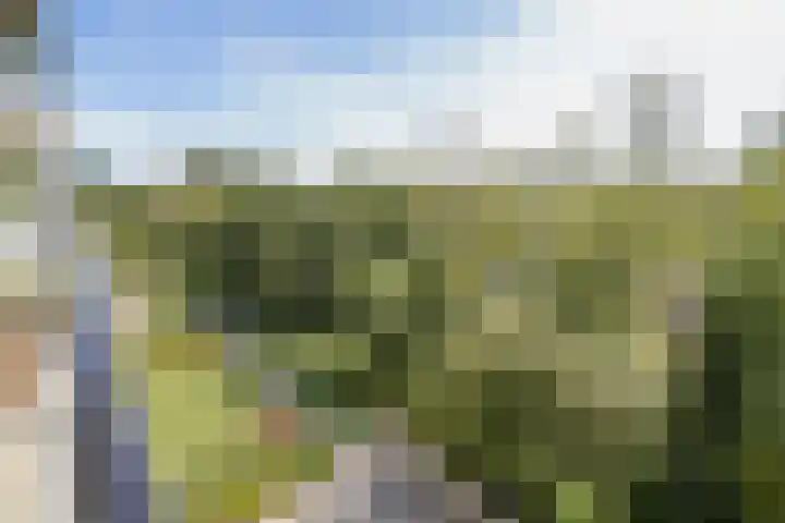 Burgemeester Rijnderslaan 620 Amstelveen thumbnail 10
