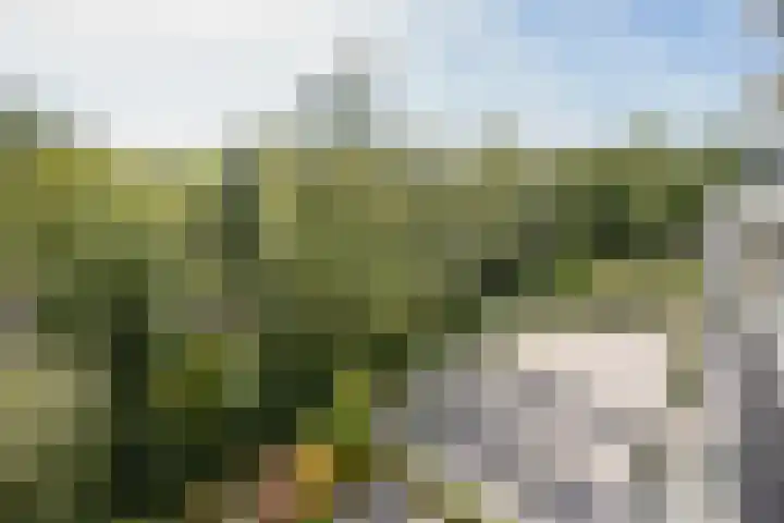 Burgemeester Rijnderslaan 620 Amstelveen thumbnail 11