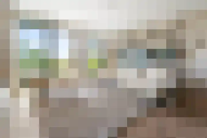 Burgemeester Rijnderslaan 620 Amstelveen thumbnail 4