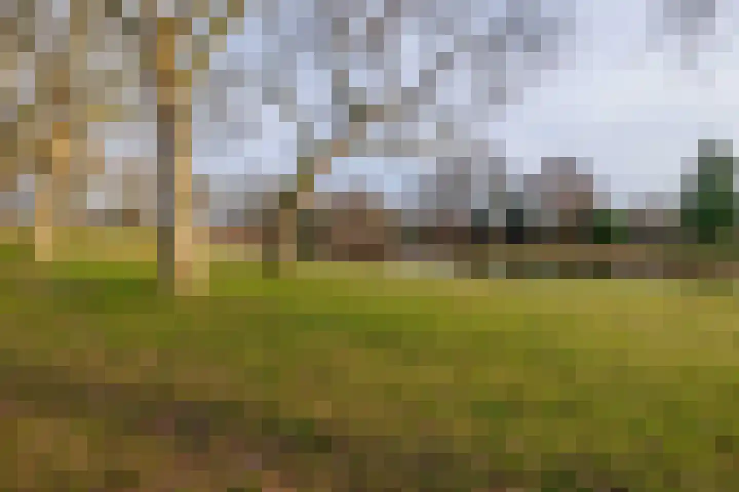 Burgemeester Roefslaan 12 Deurne thumbnail 47