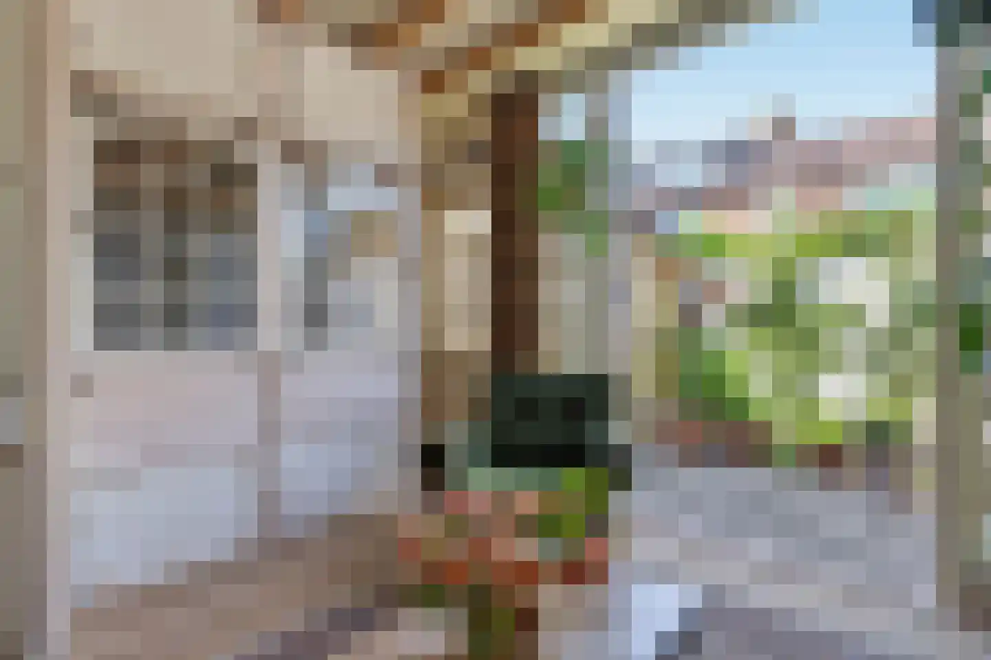 Burgemeester Rothestraat 18 D Wijk aan Zee thumbnail 16