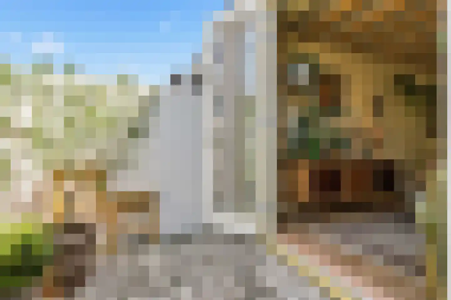 Burgemeester Rothestraat 18 D Wijk aan Zee thumbnail 23