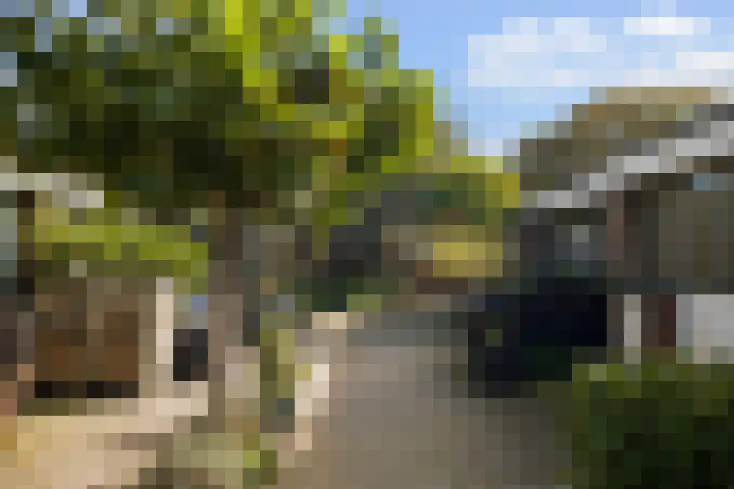 Burgemeester Rothestraat 18 K Wijk aan Zee thumbnail 20
