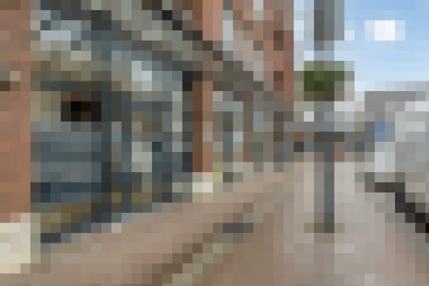 Burgemeester Ruttenplein 137 Asten thumbnail 8