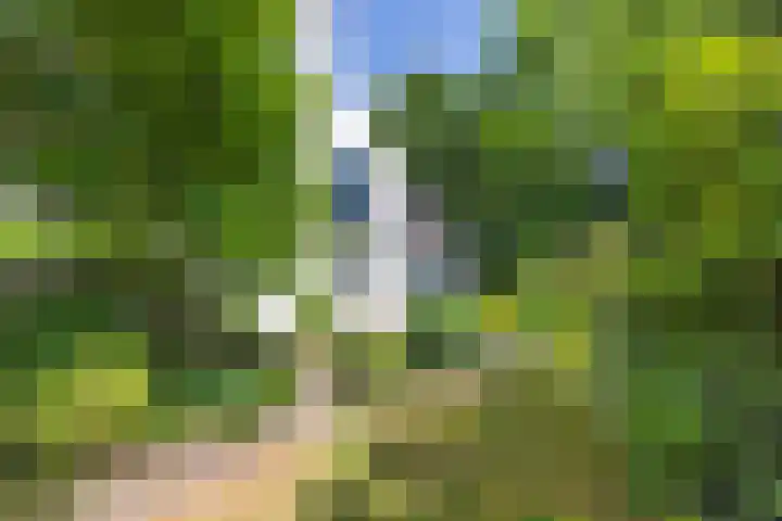 Burgemeester s'Jacoblaan 12 A Bussum thumbnail 21