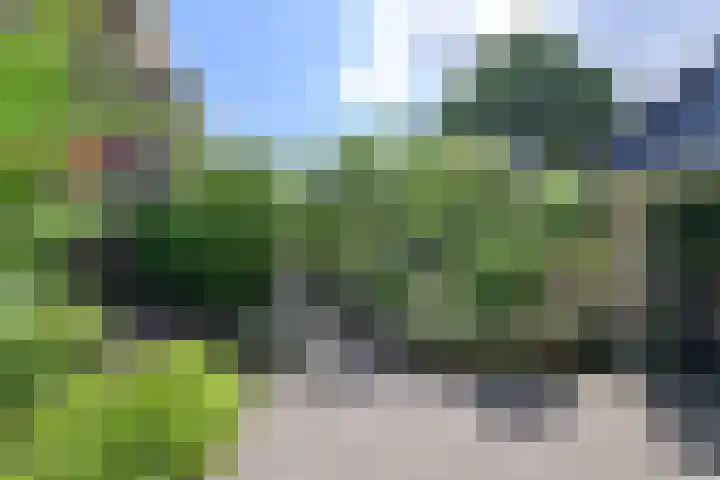 Burgemeester s'Jacoblaan 2 A Bussum thumbnail 24
