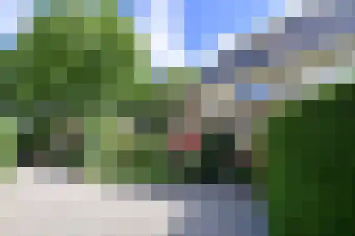 Burgemeester s'Jacoblaan 2 A Bussum thumbnail 4