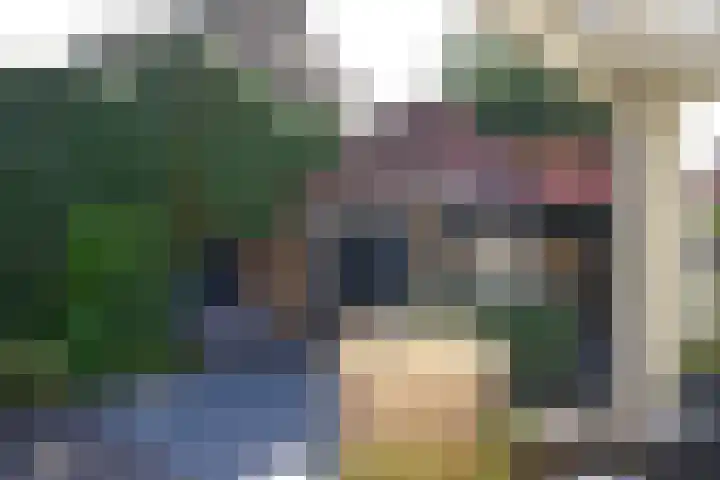 Burgemeester s'Jacoblaan 48 Bussum thumbnail 38
