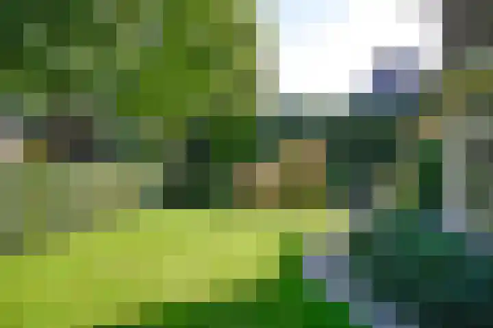 Burgemeester s'Jacoblaan 48 Bussum thumbnail 41