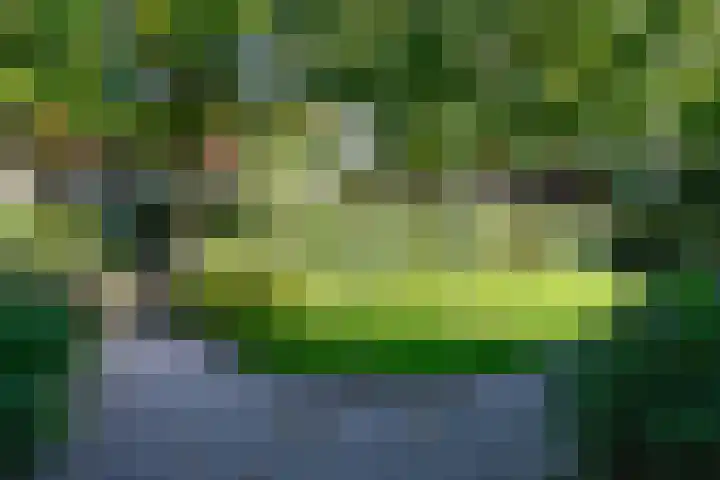 Burgemeester s'Jacoblaan 48 Bussum thumbnail 8