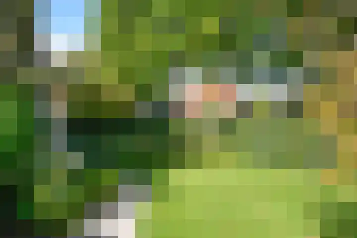 Burgemeester s'Jacoblaan 48 Bussum thumbnail 9