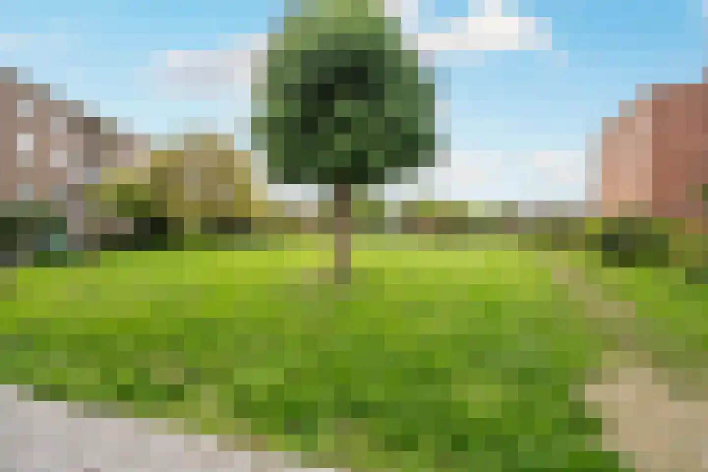 Burgemeester Schaapstraat 34 Krommenie thumbnail 26