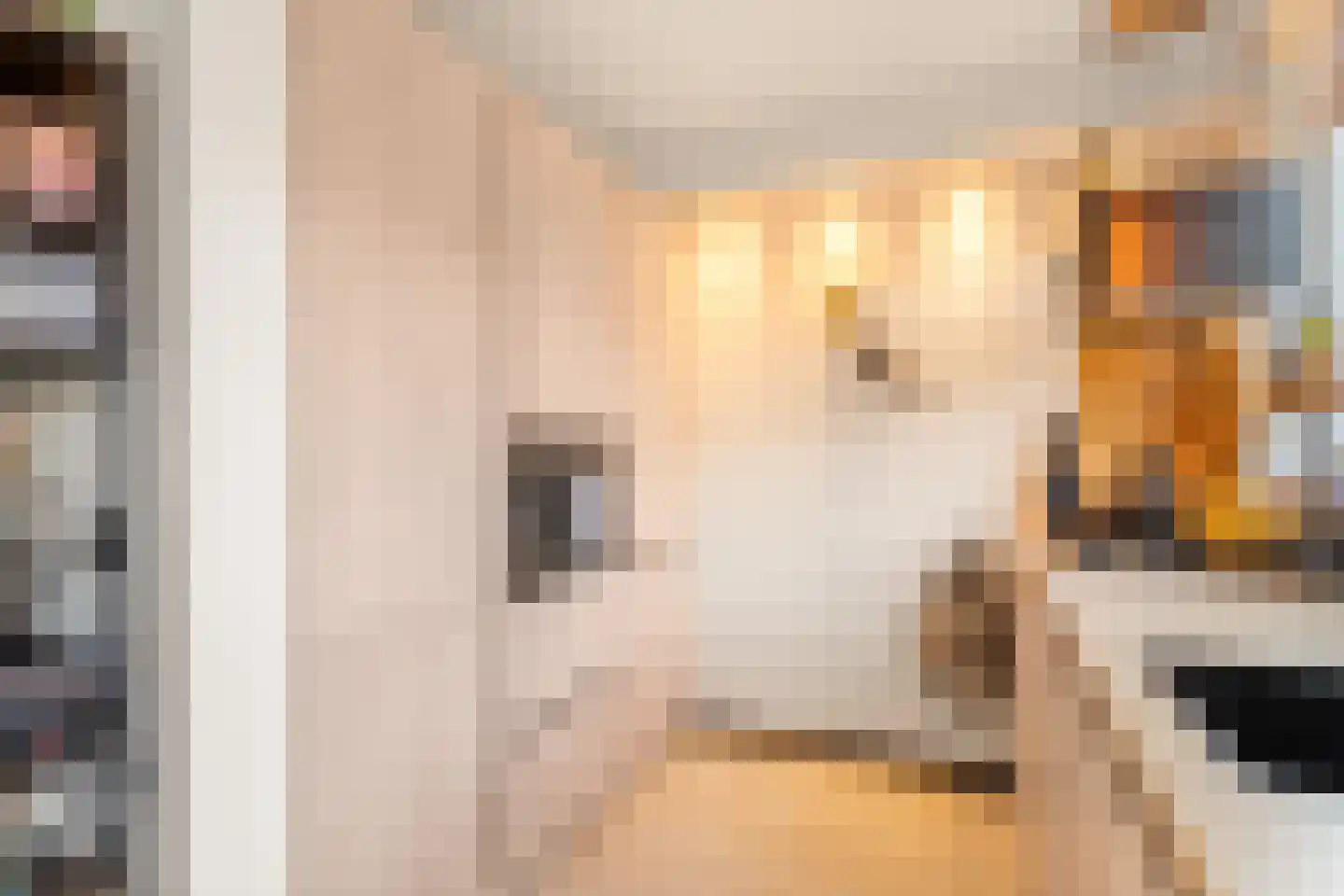 Burgemeester Schaapstraat 6 Krommenie thumbnail 10