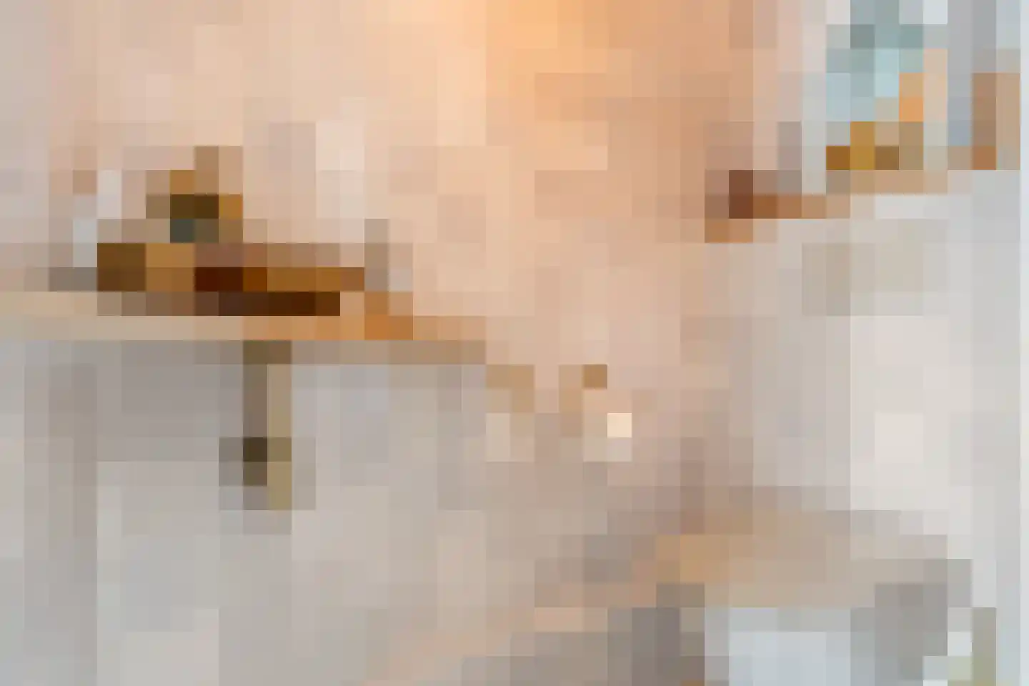 Burgemeester Schaapstraat 6 Krommenie thumbnail 20