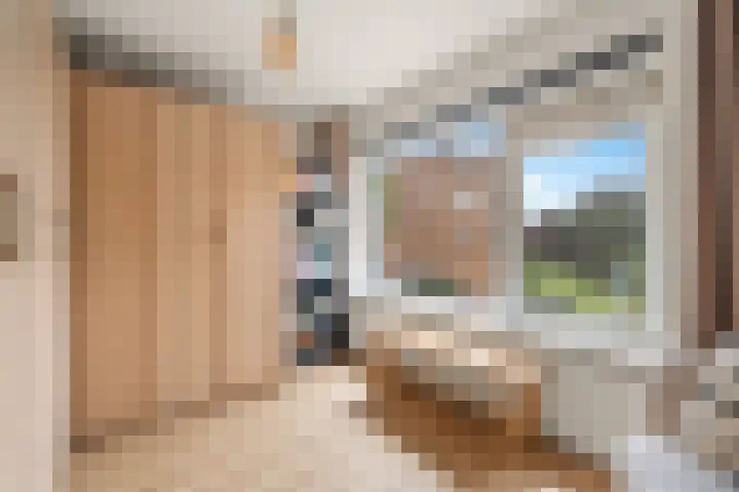Burgemeester Schaapstraat 6 Krommenie thumbnail 24