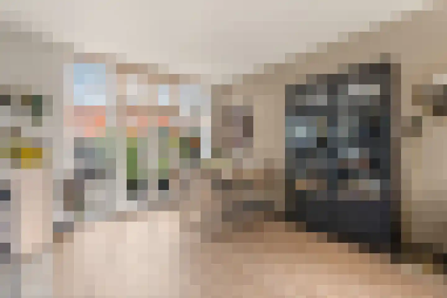 Burgemeester Schaapstraat 6 Krommenie thumbnail 8