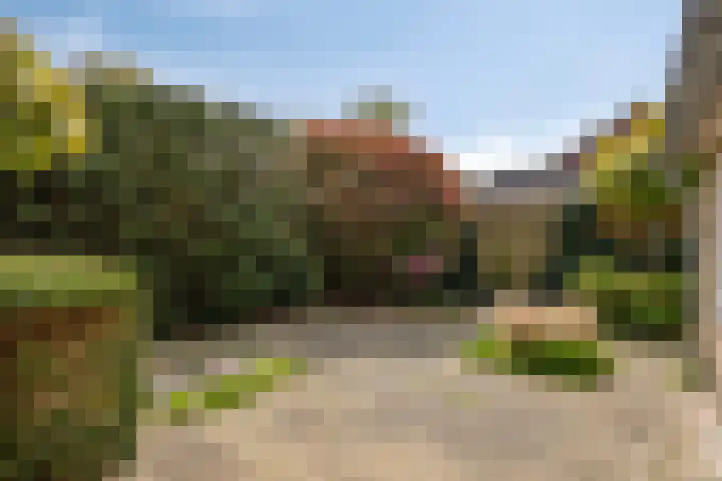Burgemeester Schade van Westrumlaan 1 Heerde foto 3