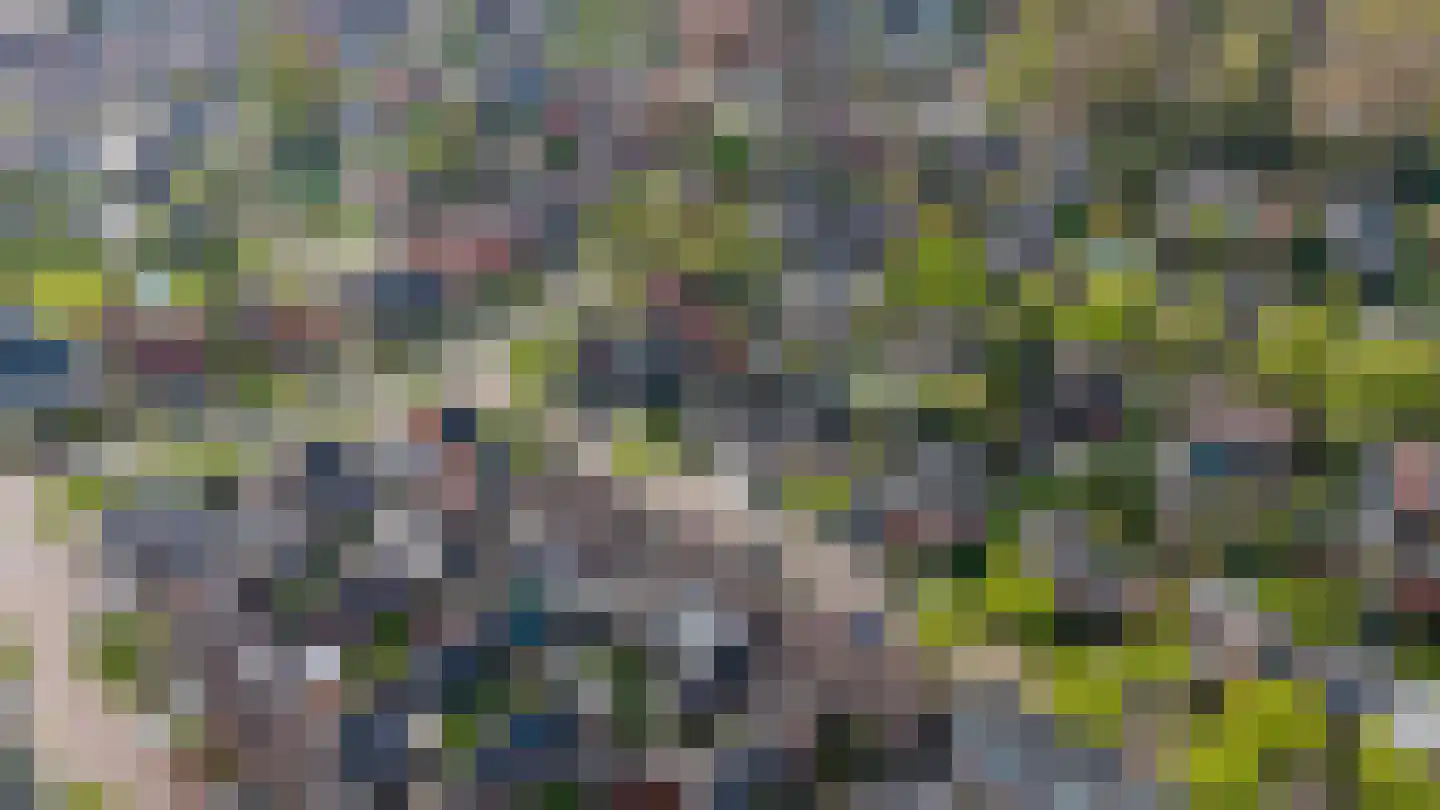 Burgemeester Schade van Westrumlaan 1 Heerde thumbnail 36