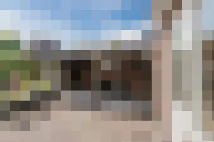 Burgemeester Schade van Westrumlaan 9 Heerde thumbnail 38