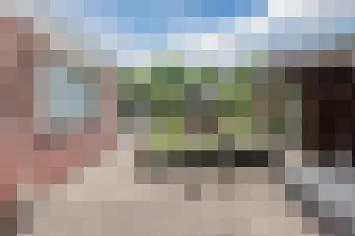 Burgemeester Schade van Westrumlaan 9 Heerde thumbnail 43