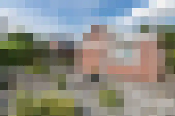 Burgemeester Schade van Westrumlaan 9 Heerde thumbnail 45