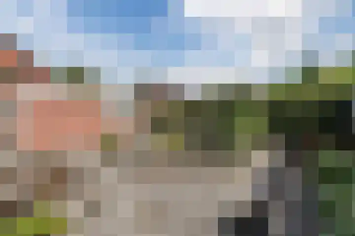 Burgemeester Schade van Westrumlaan 9 Heerde thumbnail 46