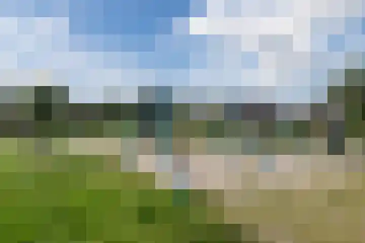 Burgemeester Schade van Westrumlaan 9 Heerde thumbnail 56