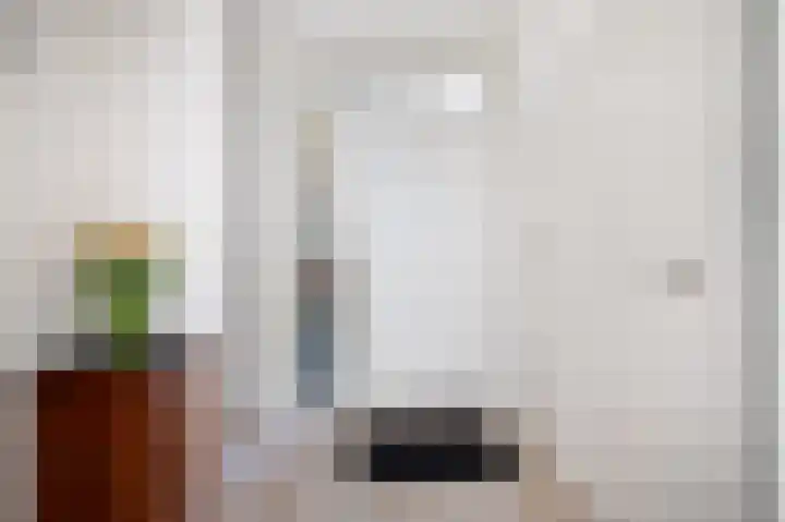 Burgemeester Schaepmanstraat 5 Bergeijk thumbnail 5