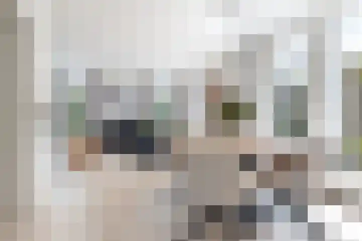 Burgemeester Schaepmanstraat 5 Bergeijk thumbnail 7