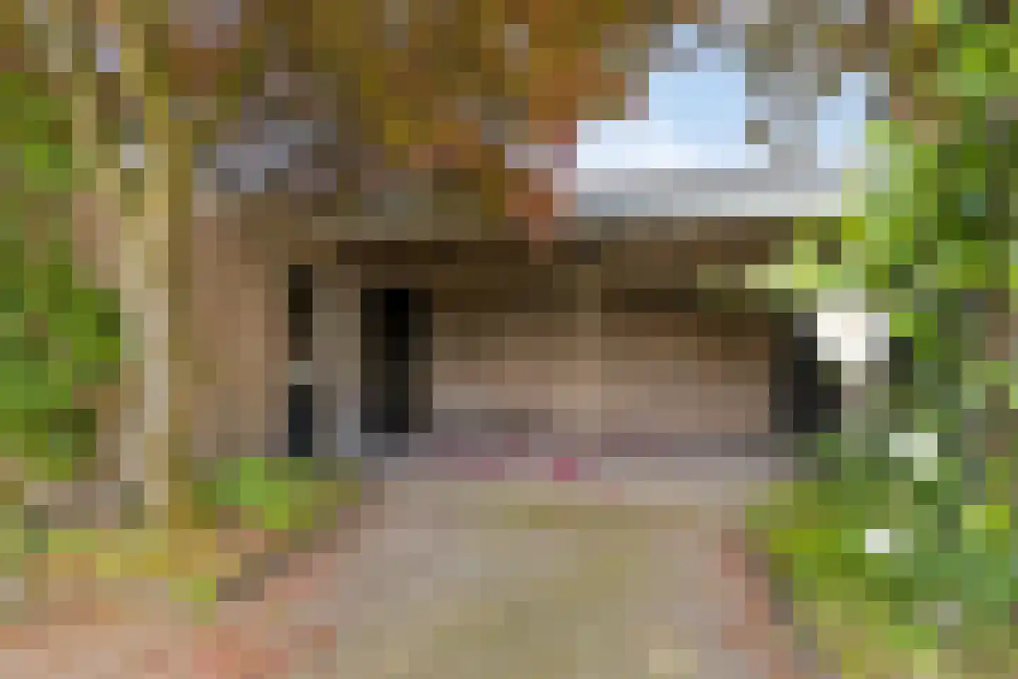Burgemeester Schafratstraat 10 Boekel thumbnail 24