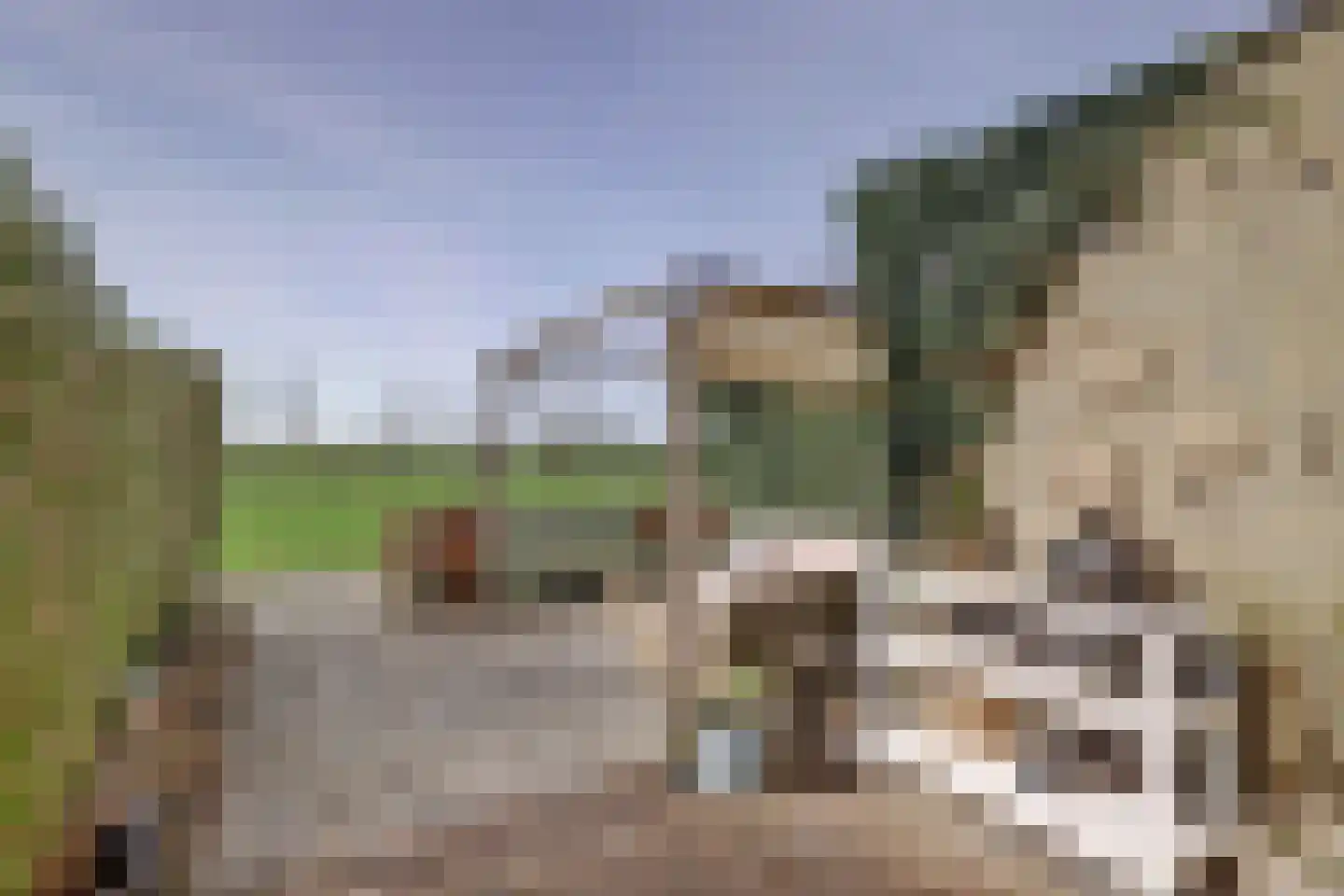 Burgemeester Schakelstraat 5 Noordeloos thumbnail 39