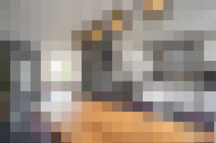 Burgemeester Schefferhof 18 Kedichem thumbnail 13
