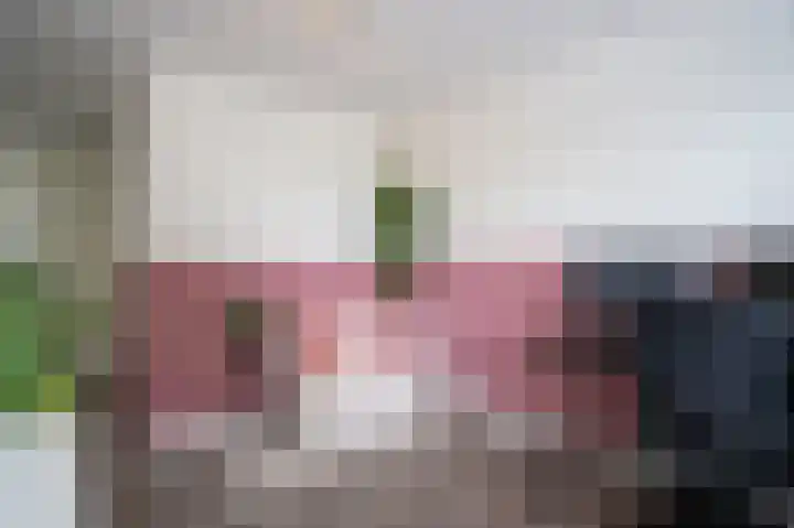 Burgemeester Schefferhof 18 Kedichem thumbnail 19