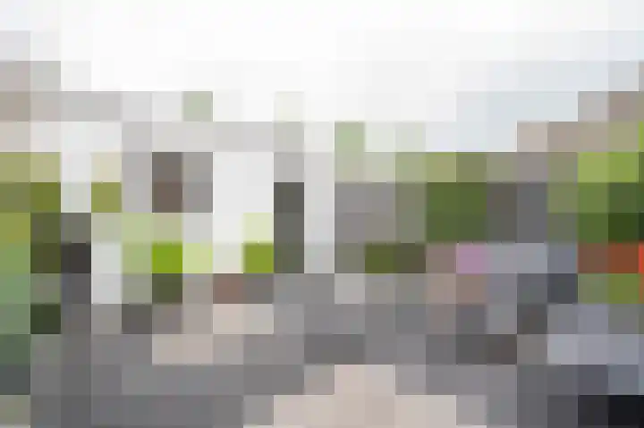 Burgemeester Schefferhof 18 Kedichem thumbnail 33