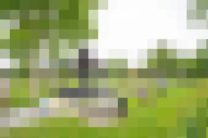Burgemeester Schefferhof 18 Kedichem thumbnail 35