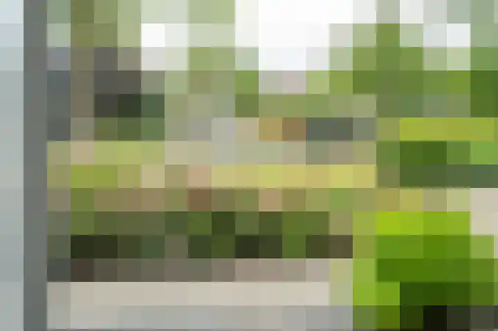Burgemeester Schefferhof 18 Kedichem thumbnail 36