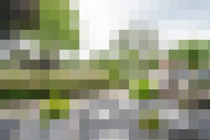 Burgemeester Schefferhof 18 Kedichem thumbnail 37
