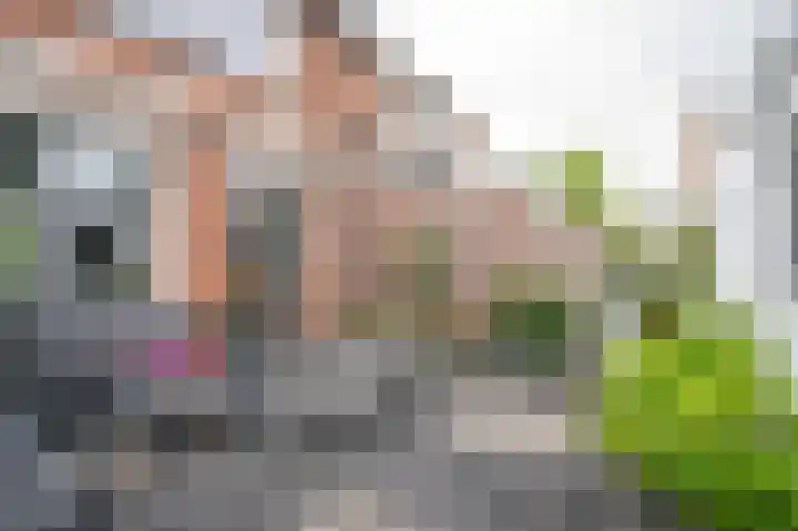 Burgemeester Schefferhof 18 Kedichem thumbnail 4