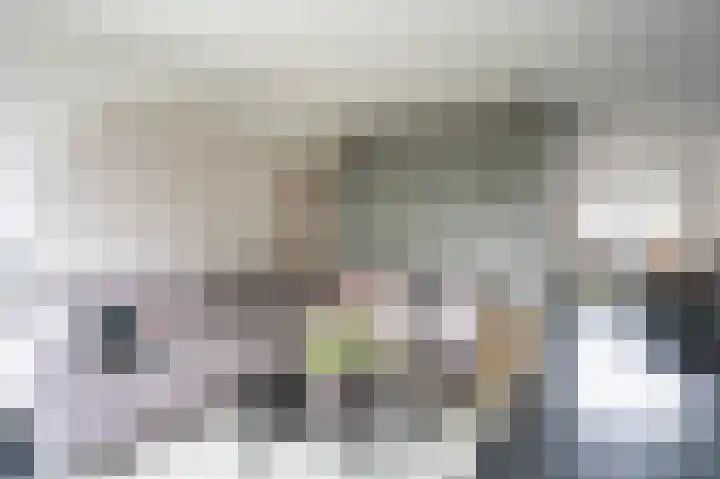 Burgemeester Schefferhof 18 Kedichem thumbnail 8