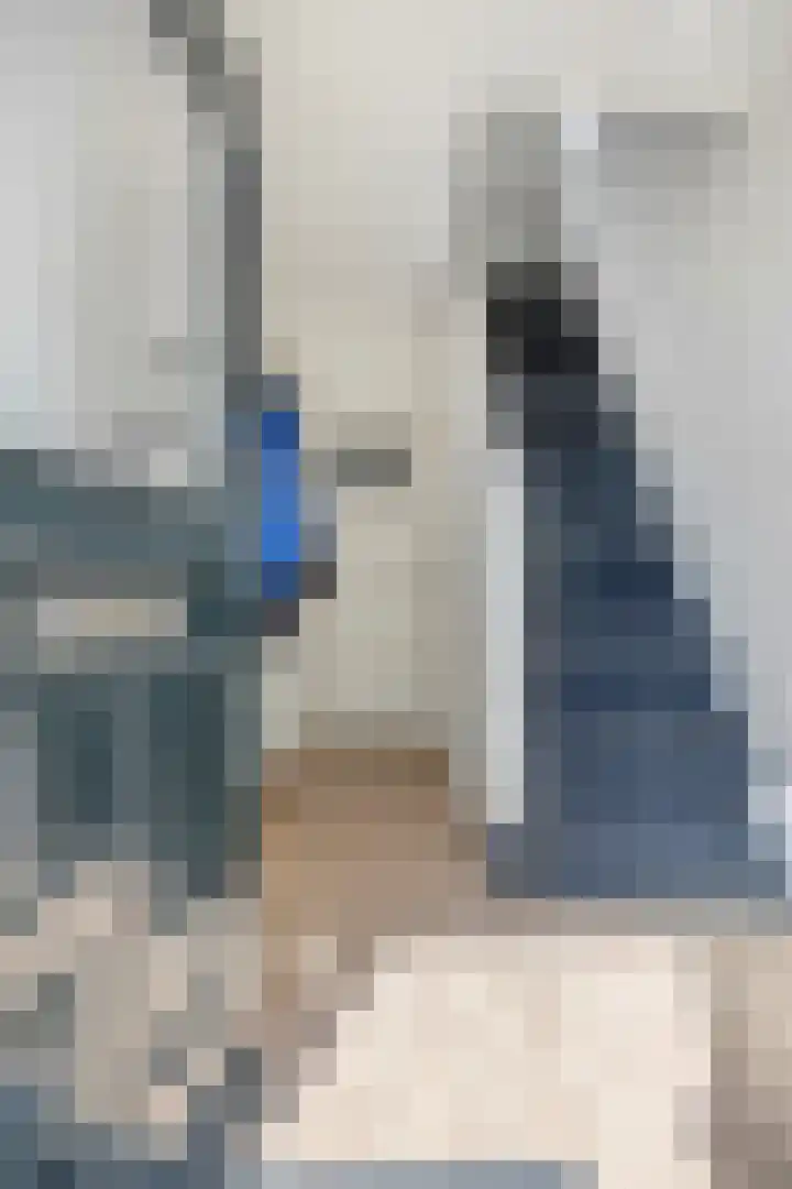 Burgemeester Schimmelpenninckstraat 1 Rhenen thumbnail 7