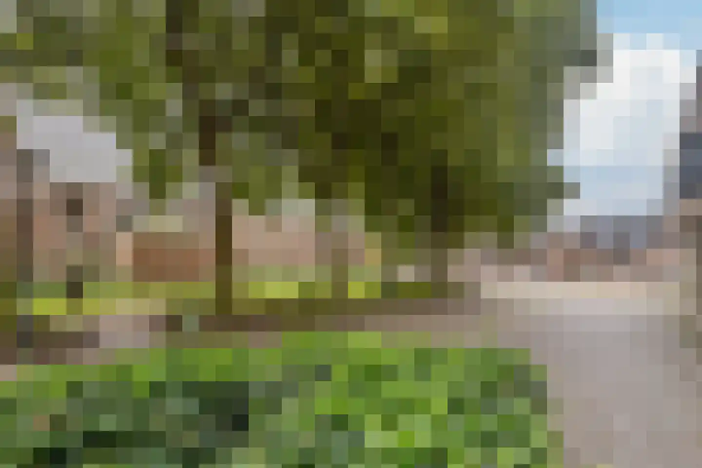 Burgemeester Scholtensstraat 33 Beverwijk thumbnail 45