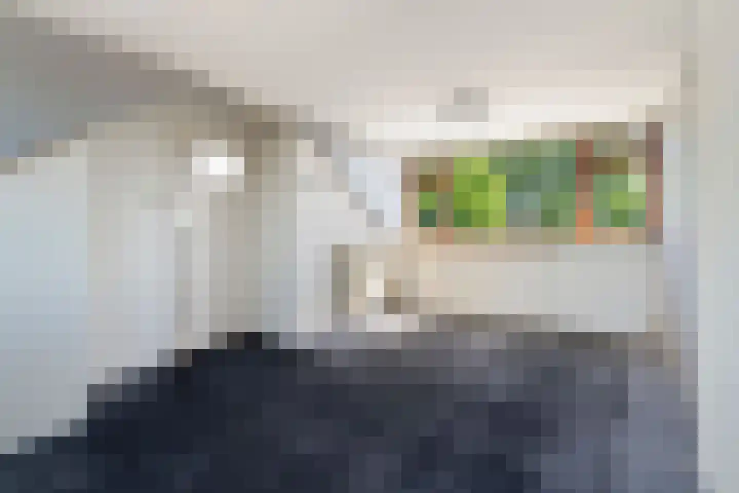 Burgemeester Scholtenstraat 10 Delfgauw thumbnail 30