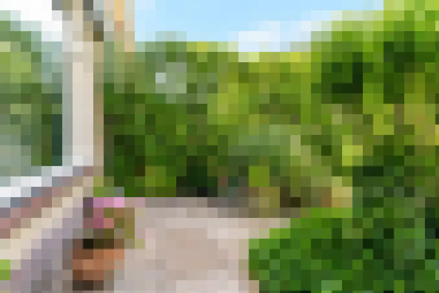 Burgemeester Scholtenstraat 10 Delfgauw thumbnail 5
