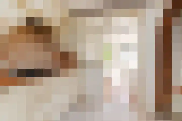 Burgemeester Scholtenstraat 6 Delfgauw thumbnail 10