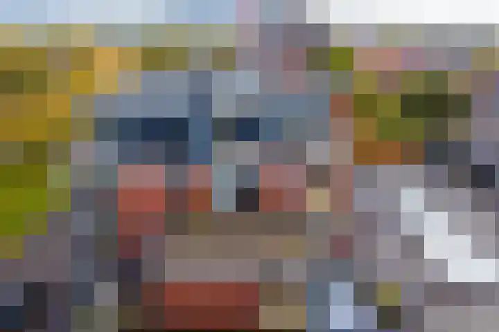 Burgemeester Schönfeldplein 15 C 1 Winschoten thumbnail 40