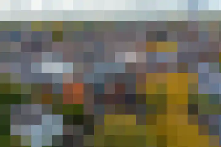 Burgemeester Schönfeldplein 15 C 1 Winschoten thumbnail 46